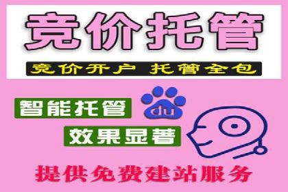 SEM投放案例：优化广告投放策略